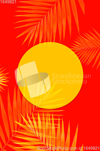 Image of Creative banner with tropical leaves on geometric two colours yellow and red background. Flyer for ad, design.