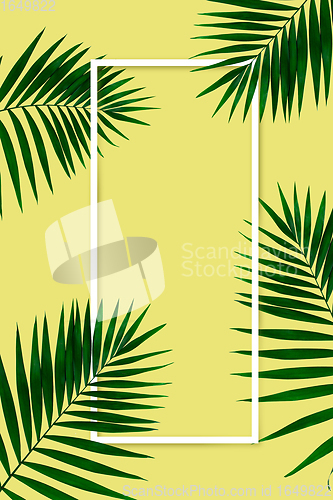 Image of Exotic green tropical palm leaves isolated on yellow background with white geometric frame. Flyer for ad, design.