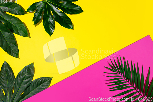 Image of Creative banner with tropical leaves on geometric vibrant colours background. Flyer for ad, design.