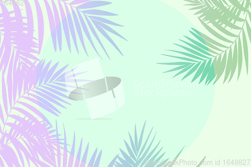 Image of Summer tropical exotic leaves isolated on white background. Flyer for design. Copyspace for ad.