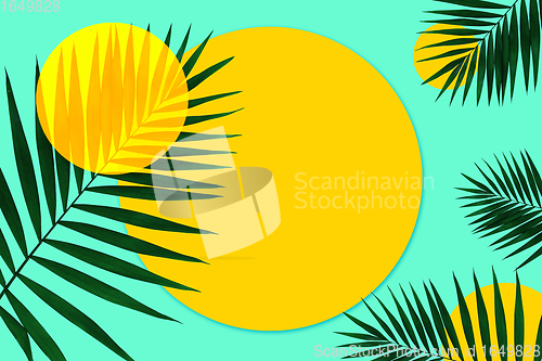 Image of Creative banner with tropical leaves on geometric two colours yellow and blue background. Flyer for ad, design.