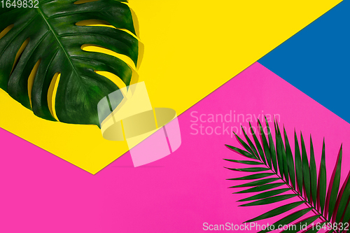 Image of Creative banner with tropical leaves on geometric vibrant colours background. Flyer for ad, design.