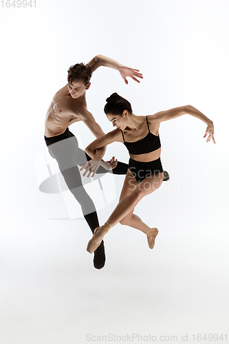 Image of Young and graceful ballet dancers in minimal black style isolated on white studio background