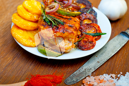 Image of roasted grilled BBQ chicken breast with herbs and spices