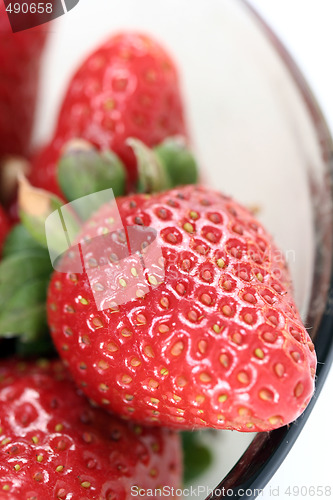 Image of Strawberry