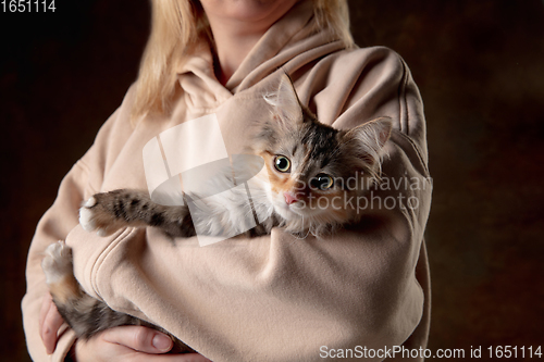 Image of Portrait of a young woman with a kitten in her arms. Concept of pets love, animal grace, friendship.