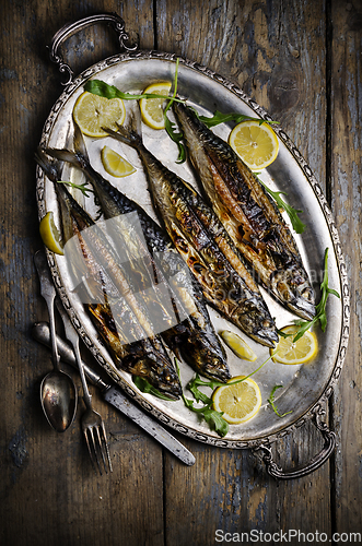 Image of Mackerels on silver plate