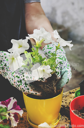 Image of Gardening