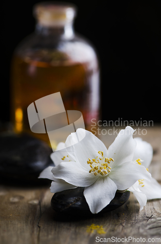 Image of Jasmin flower and scented oil