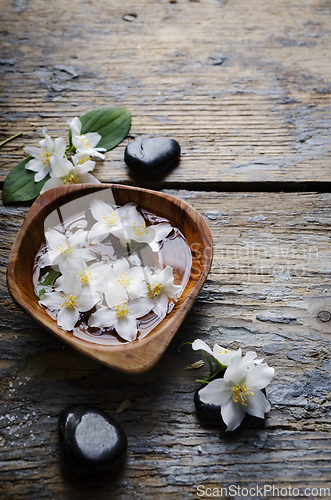 Image of Jasmine flowers