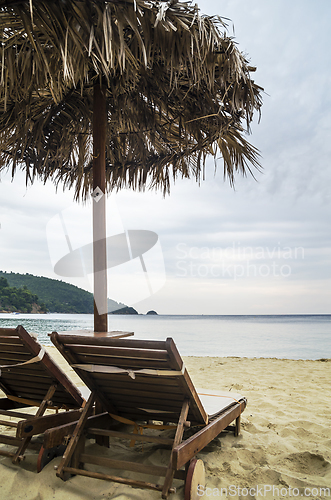 Image of Beach Parasols