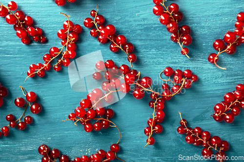 Image of Red Currant