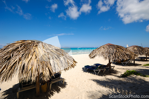 Image of Parasols on exotic beach