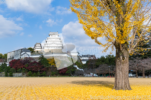 Image of Himeji Castle with yellow ginkgo