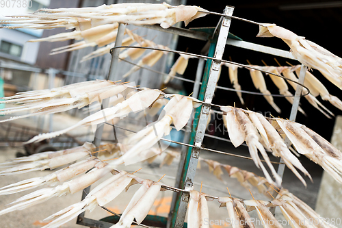 Image of Drying squid on the stand