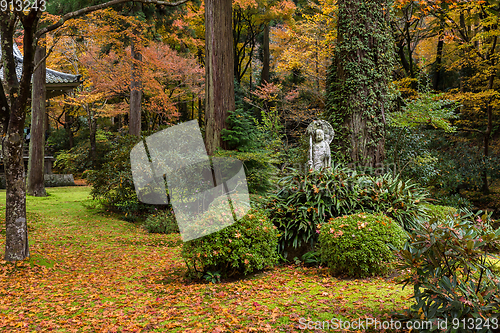 Image of Beautiful Japanese garden with maple tree