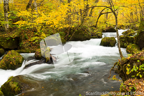 Image of Oirase Mountain Stream in autumn 