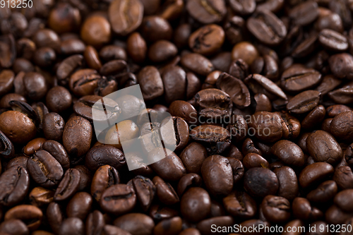Image of Coffee bean texture background