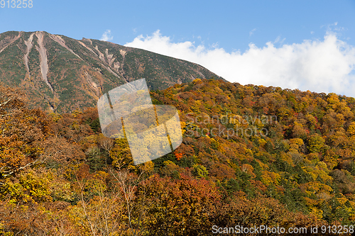 Image of Mount Nantai and beautiful forest