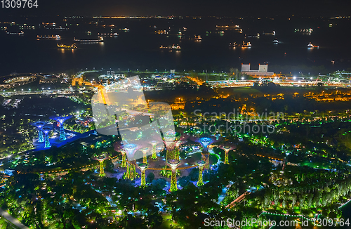 Image of Gardens Bay Singapore harbor night