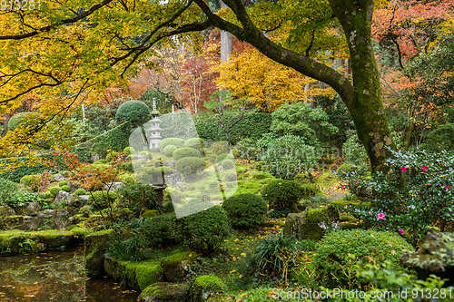 Image of Japanese garden with autuman maple tree