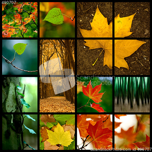 Image of Autumn Theme