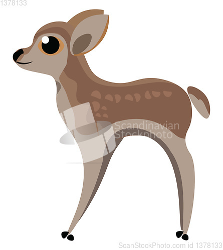 Image of Image of baby deer, vector or color illustration.