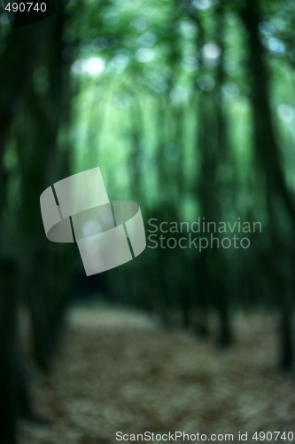 Image of Green Forest