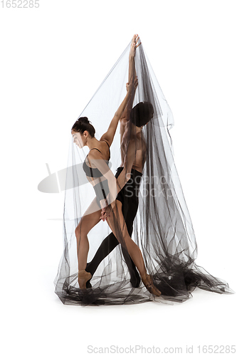 Image of Graceful classic ballet dancers dancing isolated on white studio background. The grace, artist, movement, action and motion concept.