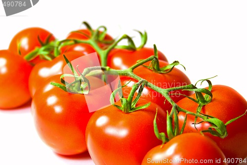 Image of fresh tomatoes