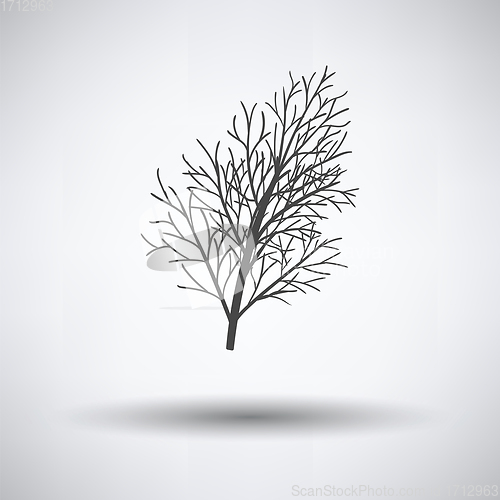 Image of Dill icon