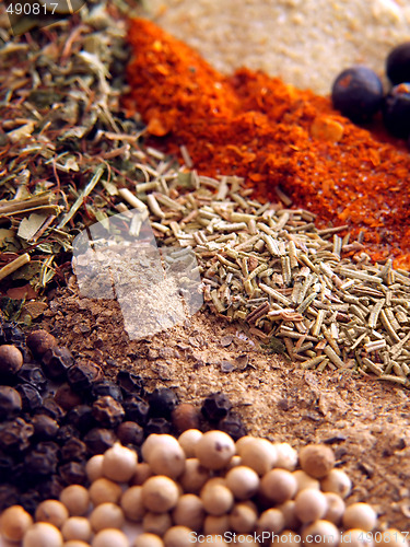 Image of Spices