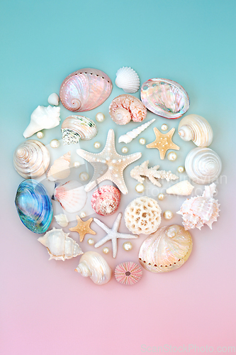 Image of  Sea Shell and Oyster Pearl Abstract Round Globe Shape  