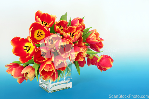 Image of Beautiful Spring Tulip Flower Still Life Composition