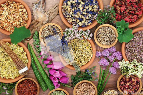 Image of Healing Herbs and Flowers for Alternative Remedies 