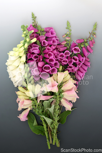 Image of English Wildflower Foxglove Bouquet