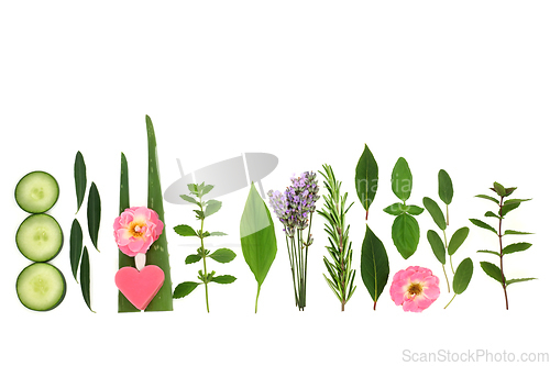 Image of Natural Herbs and Flowers for Skincare Treatments