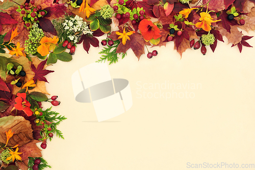 Image of Beauty of Fall Colours Background Border