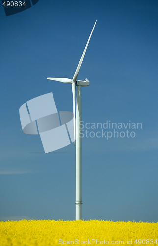 Image of a windturbine into a rape field