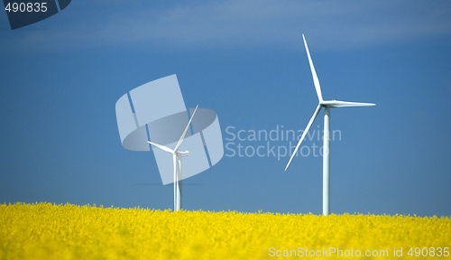 Image of farm of winturbines close to rape field 