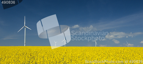 Image of farm of windturbines close to rape field 