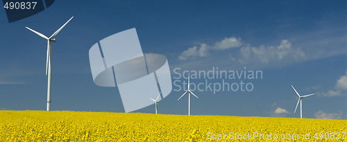 Image of farm of windturbines close to rape field 