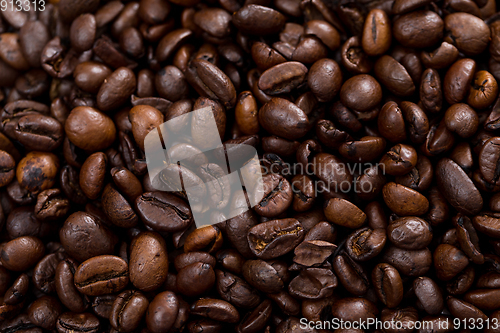 Image of Coffee bean