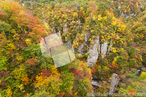 Image of  Naruko Gorge Valley with colorful foliage