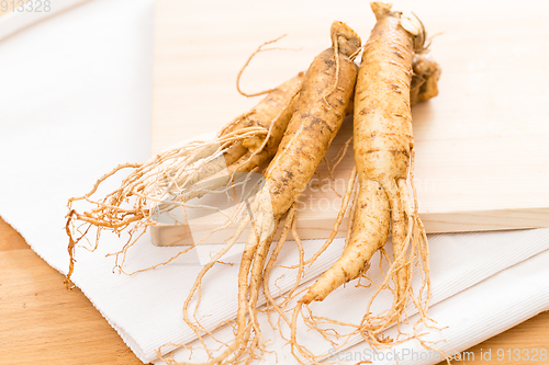 Image of Fresh ginseng root