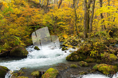 Image of Oirase stream with waterfall