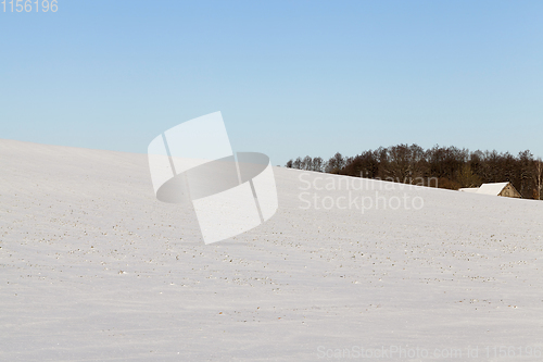 Image of winter landscape