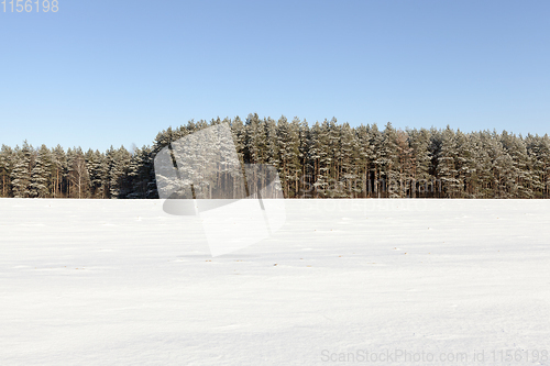 Image of Snow in winter