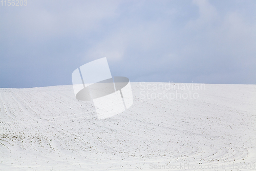 Image of Snow drifts