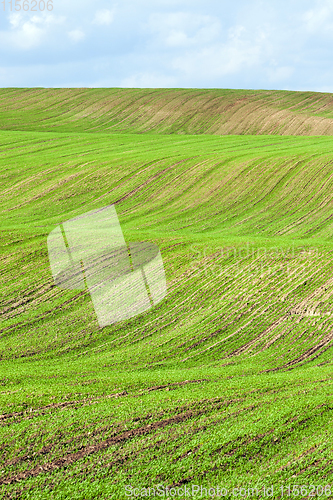 Image of agricultural field